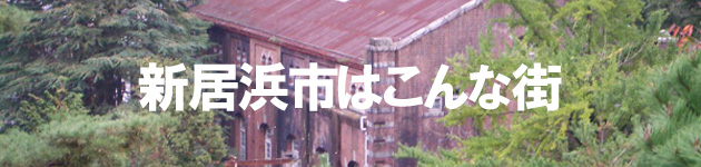 Vls͂ȊX